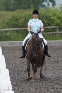 ISIS Dressage Challenge 2008